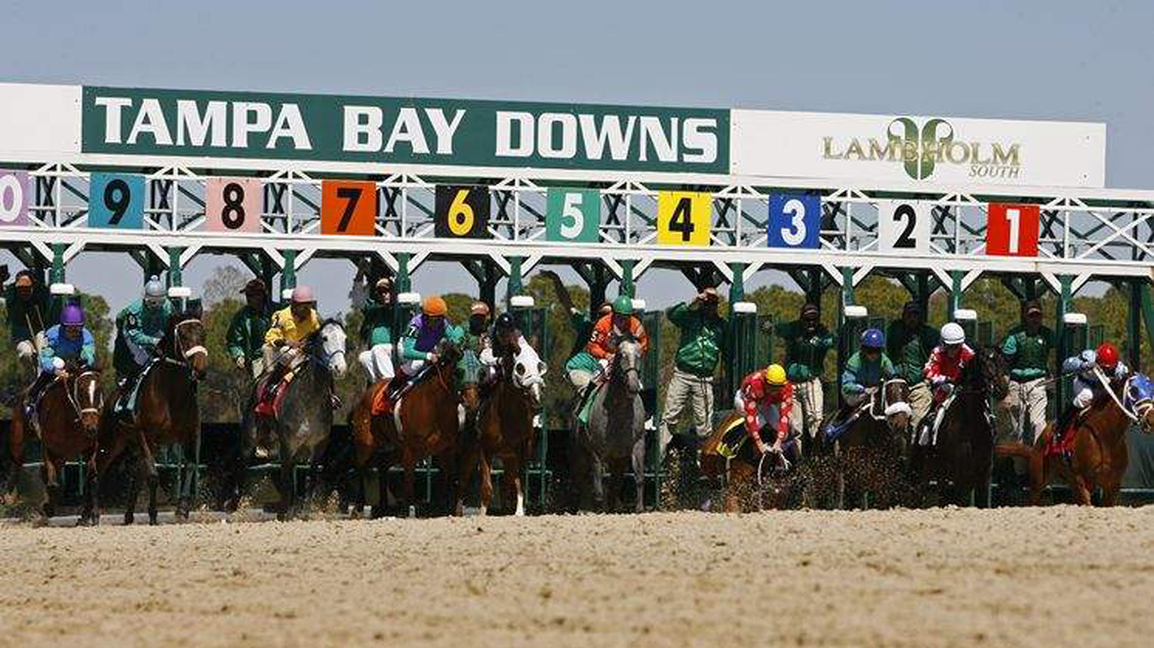 tampa bay downs dining room