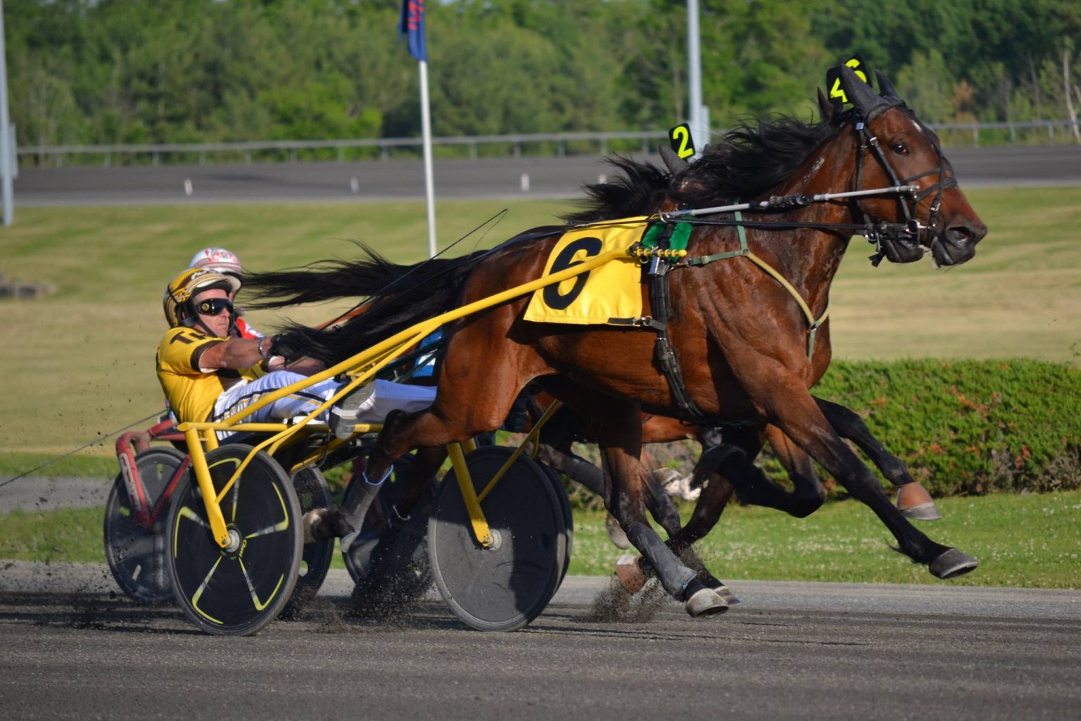 SatOct 3rdWoodbine Mohawk Park Picks